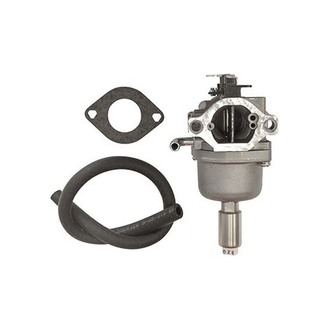 Carburateur Pour Moteur Briggs & Stratton, Se Monte Sur Les Séries 31a507, 31a607, 31a707, 31a807, 31c707, 31e577, 31e607, 31e67