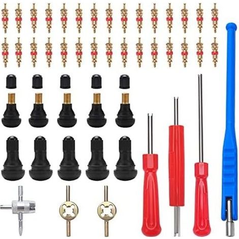 47 Pièces TR414 Demonte Valve de Pneu Outil, avec Valve Souches Puller, Noyaux de Valve en Cuivre Pur, Extracteur de Noyau de à Unique et Double, TR414 Valve Enfichable (1/5)