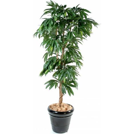 Manguier artificiel en pot 3 troncs en bois naturel Hauteur 180 cm