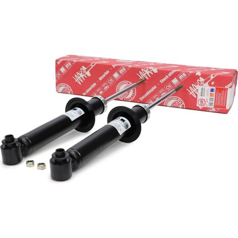 2 STOSSDÄMPFER hinten links + rechts BMW 5 (E60)