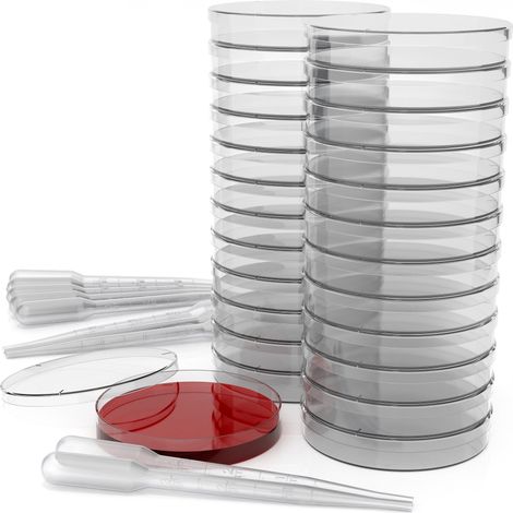 Lot De Boîtes De Péti En Plastique Stéile Avec Couvecles Ventilés (Paquet De 25), 90 x 15 Millimètes, Dix Pipettes De Tansfet En Plastique (3 Millimètes) (1/3)