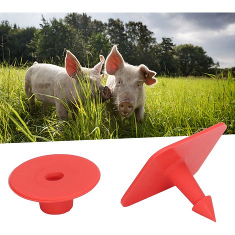 Veterinärohrmarken für Ferkel - Packung mit 100 Stück - Polyurethan - 32x32mm - Rot - Tierkennzeichnung und -management. (1/5)