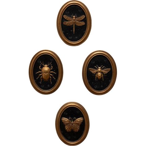 Ensemble 4 cadres insectes Entomologie 13x17cm