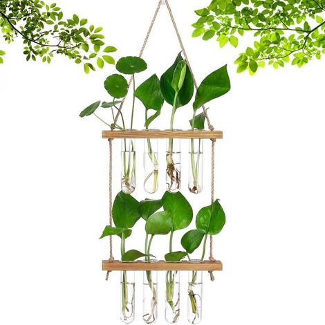 Station de Propagation avec Support en Bois Vase Mural avec 8 Tubes à Essai en Verre Suspendu pour Plantes Hydroponiques pour La Décoration de Bureau à La Maison (1/5)