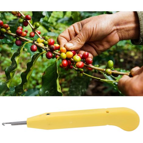 Erntescheren für Chilischoten, Sichuanpfeffer und schwarzen Pfeffer landwirtschaftliche Scheren für Obsterntemaschinen zeitsparende landwirtschaftliche Scheren. (1/5)
