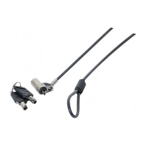Cadenas dacomex ultra slim keyed lock câble acier 200 cm