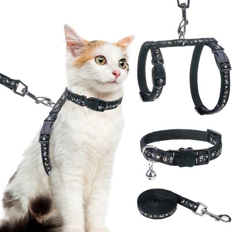 Harnais pour Chat avec Laisse et Collier – Harnais Anti-Fugue réglable Phosphorescent pour Chat pour Promenade en Plein air (1/5)