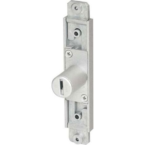 Cylindre de serrure zamac nickelé – Longueur 22 mm – Ø16,5 mm – Sens droite – Livré sans barillet – Ojmar (1/4)