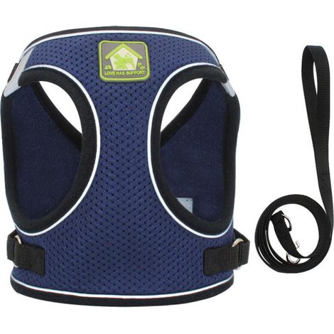 Dog Harness and Leash Set, No Pull Soft Mesh Pet Harness for Walking Escape Proof Small Cat Step-in Adjustable Vest with Reflective Strip Fit Puppy Kitten Rabbit (1/4)