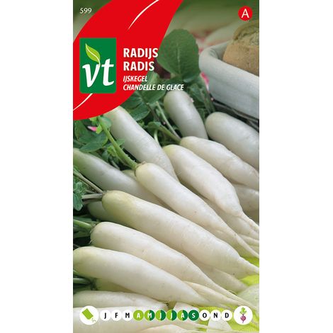 Radis Chandelle De Glace - Ca. 8 gr (Livraison Gratuite) (1/2)