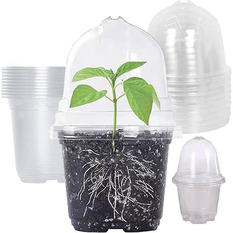 Pots de fleurs - pots d'intérieur - pots d'extérieur - lot de 10 - pots de fleurs - pots d'extérieur - pots d'intérieur - petits pots d'intérieur - pots d'intérieur - pots d'extérieur en plastique - p (1/4)