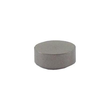 Tappo valvola BRIGGS ET STRATTON 691843