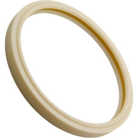 Joint d'étanchéité pour lentille de projecteur de piscine Amerlite Pièce compatible d'origine 79101600Z Kit de remplacement professionnel étanche et antibuée