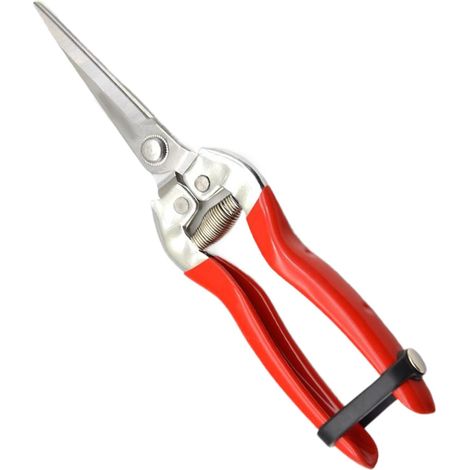 1 - Sécateur - Cisaille De Jardin - Coupe Précise Pour Arbres Fruitiers Et Vignes - Acier Inoxydable - Noir - 21,5cm (1/5)