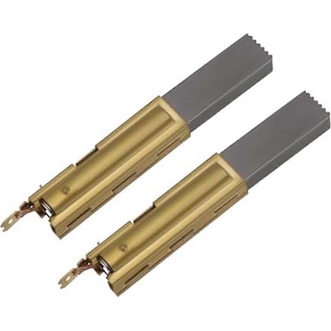 2 balais de charbon pour moteur 32 mm x 11 mm x 6,3 mm (1/5)