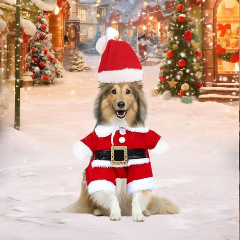 Costume di Natale per animali domestici, vestiti per gatti con cappello, taglia S (1/4)