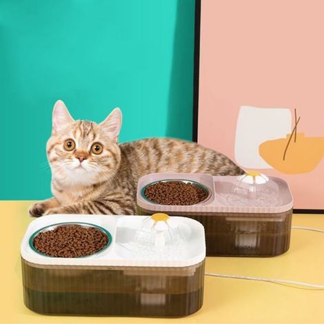 Fontaine À Eau Pour Chat - Acier Inoxydable Et Plastique Alimentaire - Double Bac À Eau - 2 Becs Verseurs - 1 Unité (1/5)