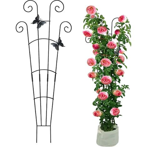 Support pour plantes grimpantes accessoire robuste dcor (1/5)