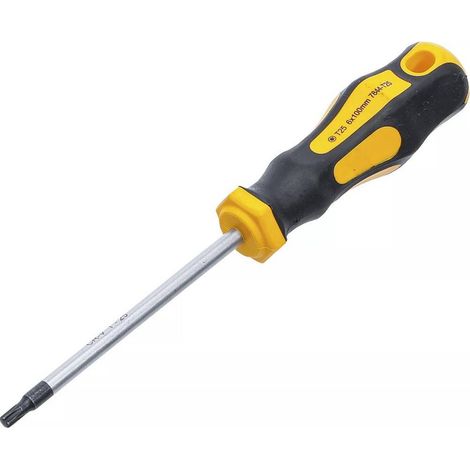 Tournevis Profil T Torx T25 - Lame 100 mm - Acier, Précision et Durabilité, Zones Difficiles - D-Work (1/5)