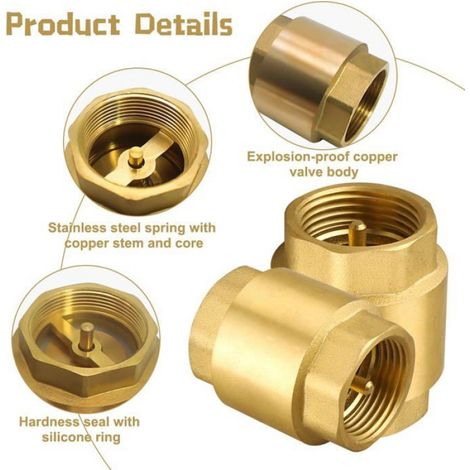 1 Clapet anti-retour DN25, filetage femelle 1 pouce, laiton, ressort inox, eau, chauffage (1/4)