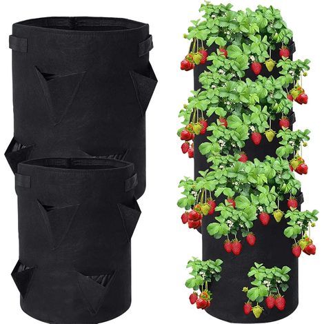 2-Piece Planting Bag Set, 300g Non-Woven Fabric, with Handle, for Vegetables and Flowers, Indoor and Outdoor Gardening (1/5)