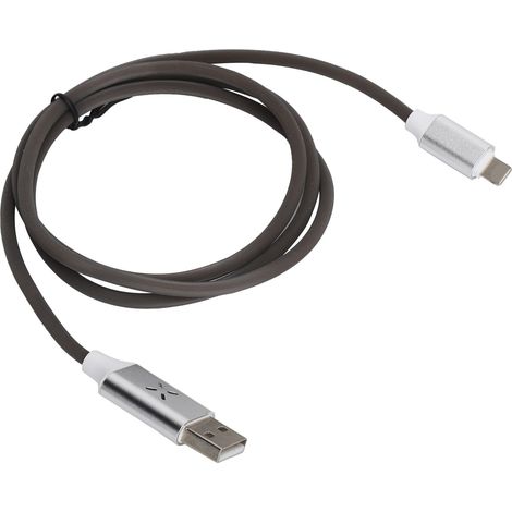 Câble de Charge Rapide LED 2.4A avec Contrôle Vocal pour iOS - Cordons de Charge Lumineux (1/5)