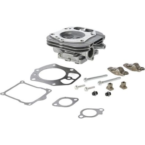 Cylinder Head BRIGGS & STRATTON 84010935 (1/3)