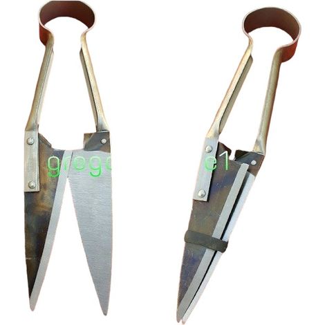 FORBICI TOSAPECORE CHIODATE DIRITTA