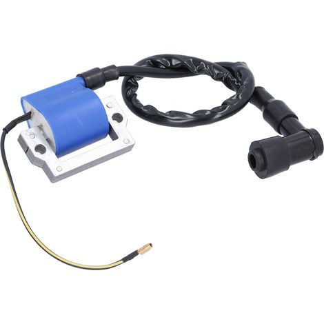 Austausch des Zündspulenmoduls, Austausch des Zündspulenmoduls für G1 2-Takt-Impulsgeneratormotoren der Baujahre 1979-1989. (1/4)