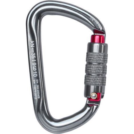 Mousquetons Escalade Métal Forme de D Verrouillage Automatique Anneau Porte-Clés pour Camping Pêche Randonnée Voyages