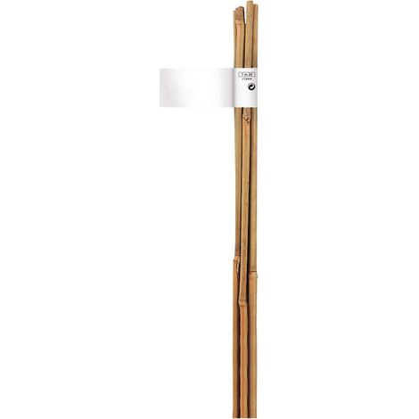 TUTOR BAMBOO NORTENE 1,5 M