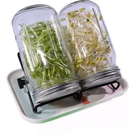 32 oz Keimgerät für Keimsamen mit Edelstahldeckeln, Tablett, Halter und Samenspender (1/5)
