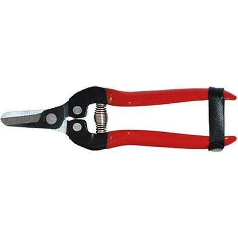 Falci forbici cogliagrumi 16 cm per agrumi con lama curva manici in pvc e chiusura in cuoio (1/3)