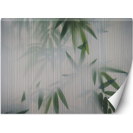 Fototapete Laub Grün Nebel Natur 100x70 cm (1/5)
