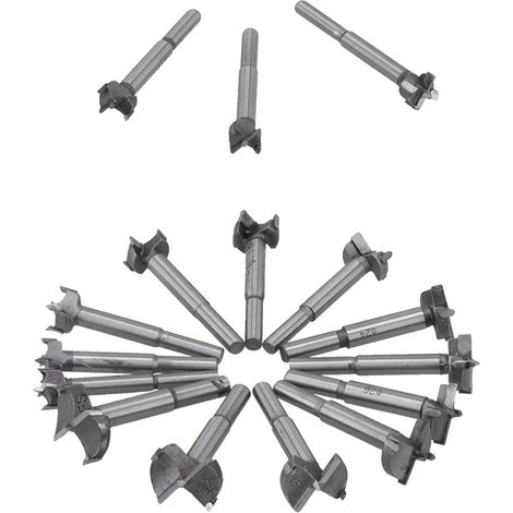 16-teiliges Forstnerbohrer-Set, 15–35 mm Holzbohrer-Set, Dübelbohrer, Astbohrer, Lochbohrer, Kunstbohrer, Mehrzweckbohrer, Forstnerbohrer-Set für die Holzbearbeitung (1/5)