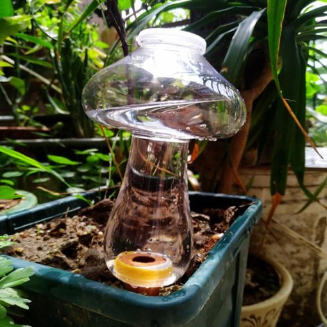 Arrosoir Automatique - Ampoule D'arrosage En Céramique - Pour Plantes D'intérieur Et Extérieur - Capacité 500 Ml - 1 Pièce (1/5)