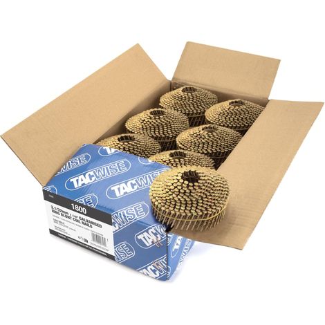 Clous en Rouleau à Tête Conique Type 2,1/32 mm, Lot de 5400 (1/5)