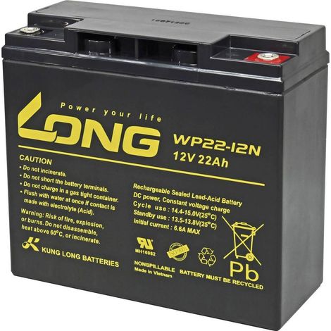 Long WP22-12N AGM-Batterie 22 Ah Schwarz 12 V