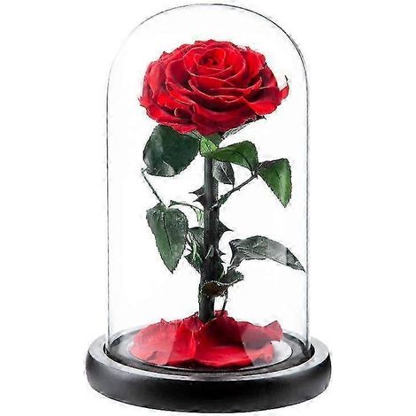 Rose éternelle, cadeau pour la fête des mères - lh1 (1/5)