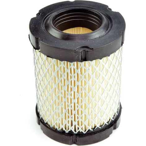 Oregon 30-852 Filtro Aria di Ricambio per Briggs & Stratton 796032