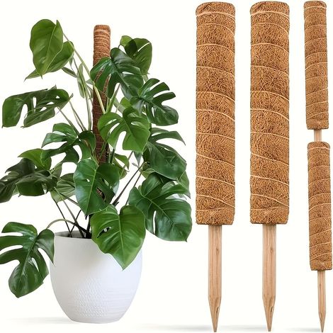 Lot de 2 tuteurs pour Monstera deliciosa et Pothos, support de jardin, structure de fixation pour plantes (1/5)
