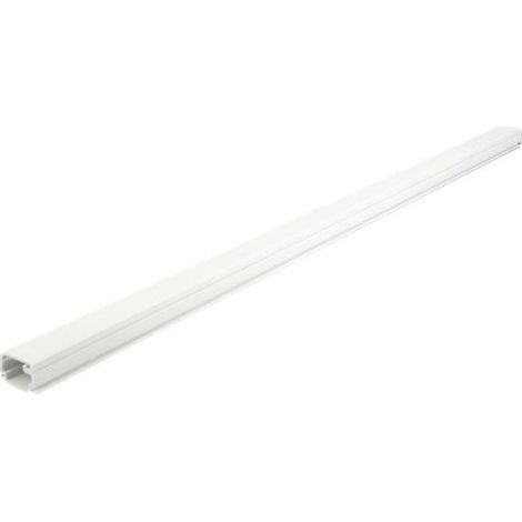 Goulotte delock PVC 22 x 15 mm 1 m (1/3)