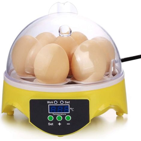 Incubateur d'œufs, 7 incubateurs d'œufs numériques, mini incubateur d'œufs pour poulet, canard, oie - RWCouveuse et incubateur pour volaille (1/5)