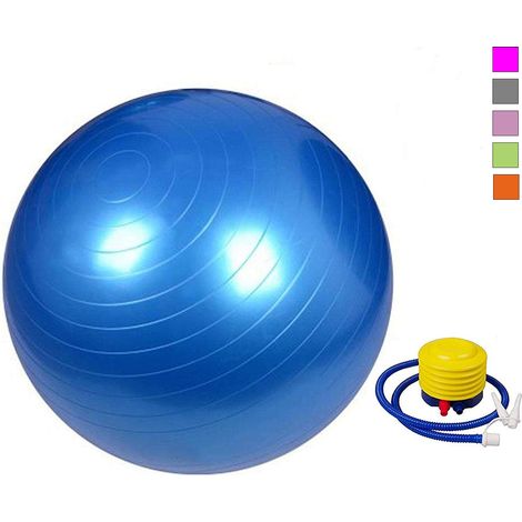 Palla Fitness 65cm Yoga Ginnastica Pilates Riabilitazione Antiscoppio Con Pompa (1/5)