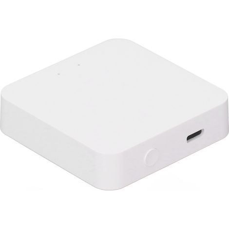 Zigbee 2,4-GHz-WLAN-Bluetooth-Smart-Home-Hub-Gateway mit App-Fernsteuerung und Typ-C-Anschluss (1/5)