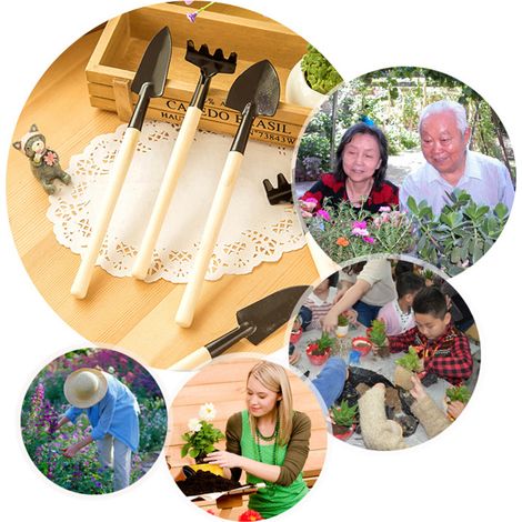 Kit de 3 Outils de Jardin Miniatures avec Manche en Bois : Pelle, Râteau, Transplantoir pour Plantes (1/5)
