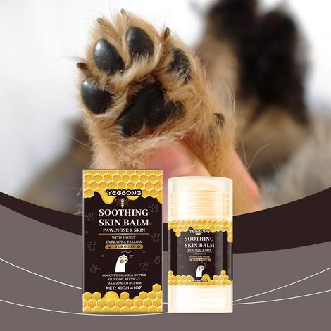 Pet Honey Pfotenpflegestift – Sanft und pflegend für intensiv feuchtigkeitsspendende und nährende Pfotenballen – 40 g -- DTEKGAZ (1/5)