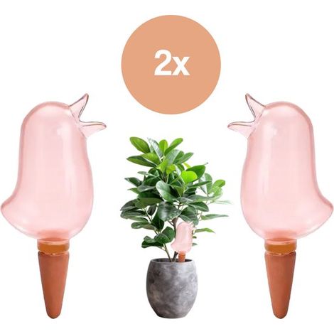 Gouttières pour plantes – Gouttière anti-oiseaux – Système d'arrosage pour plantes d'intérieur et fleurs – Réutilisable – Lot de 2 – Rose (1/5)