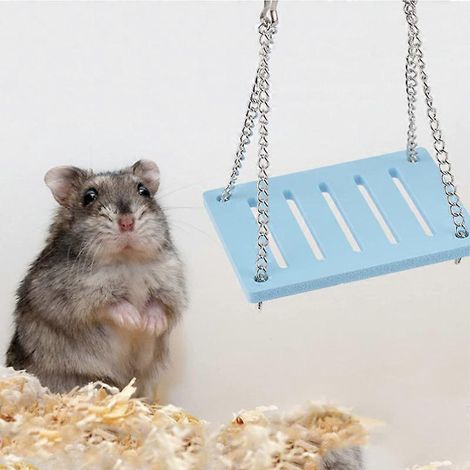 1 x Jouet pour hamster, balançoire bleue, jouet d'escalade et de jeu, jouet d'activité pour animaux qui s'ennuient, cage à hamster à monter soi-même (1/5)