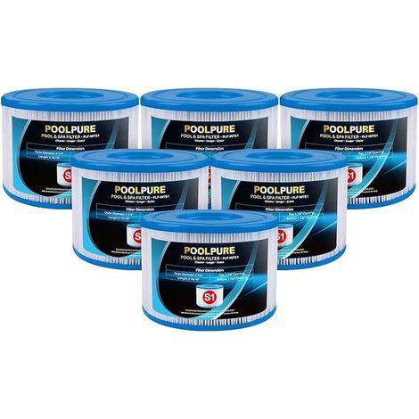Jeu de 6 filtres de remplacement type S1 pour cartouche 29001E PureSpa, cartouche piscine - (6pcsS1) (1/4)